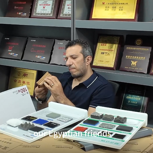 কোম্পানির সাম্প্রতিক খবর মিশরীয় বন্ধুরা চীনের সবচেয়ে বড় গাড়ি শব্দরোধ কারখানা পরিদর্শন করেছে।
